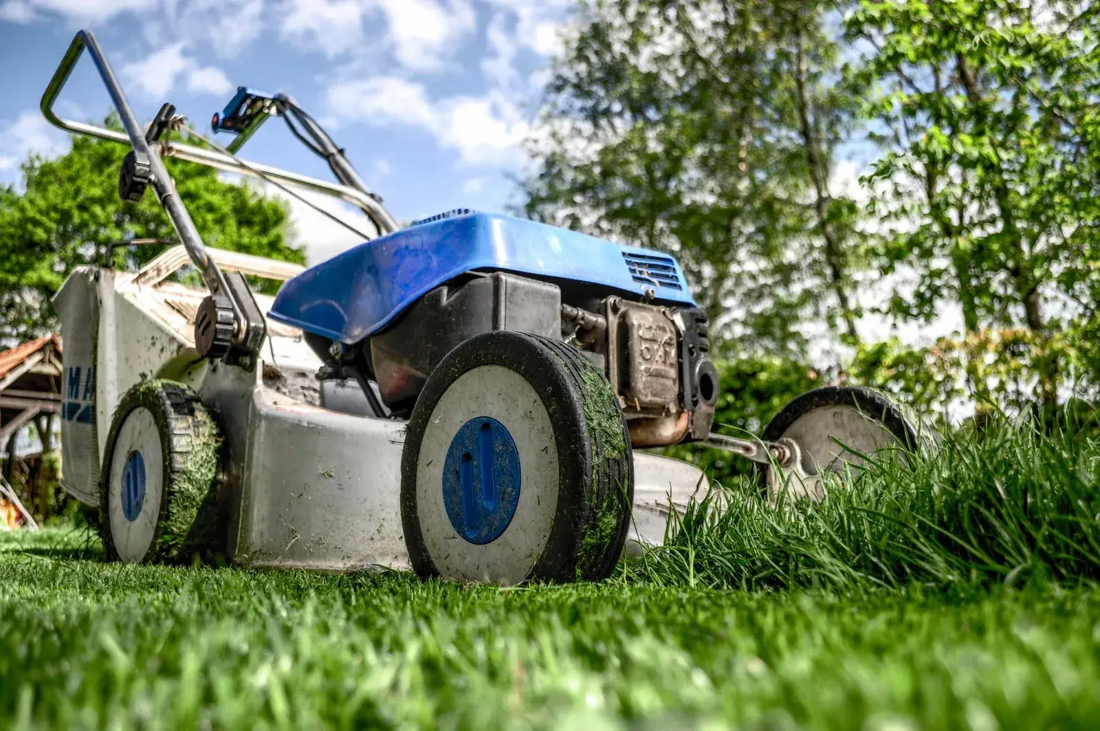 Walk-behind mower cutting a residential lawn