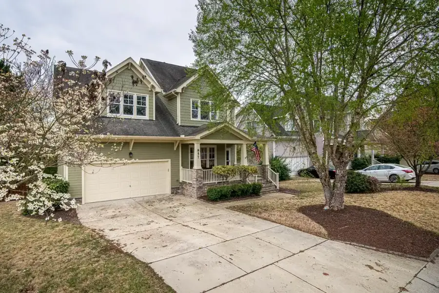 Suburban house and driveway shaded by a large established front-yard tree