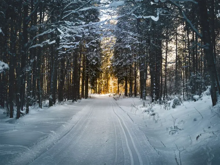 Cleared path after a snow storm