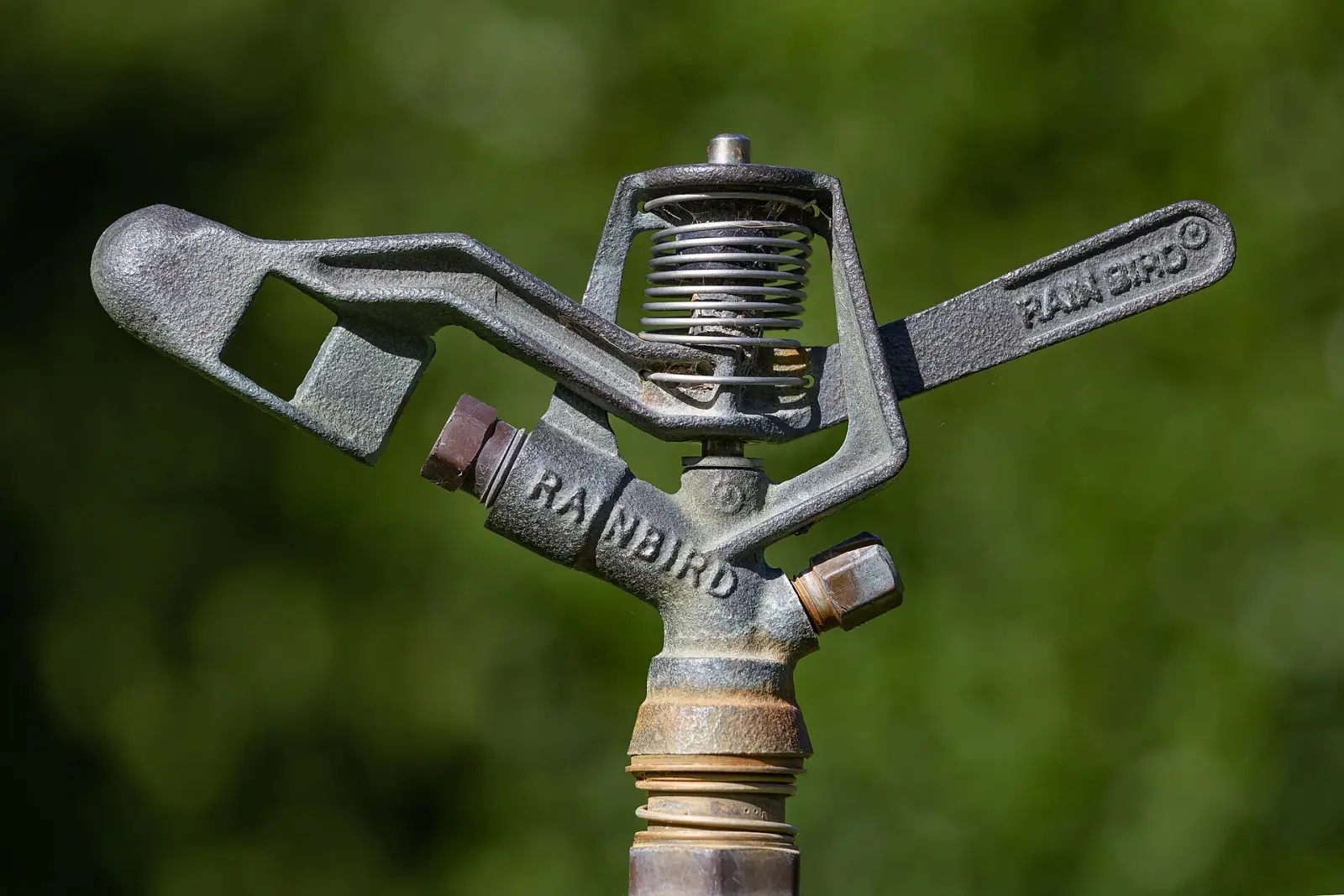 Impact sprinkler head on a lawn irrigation riser